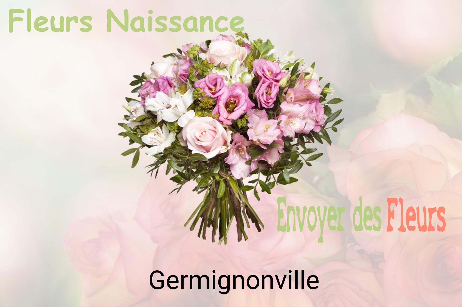 Bouquet de fleurs de naissance livré à Germignonville